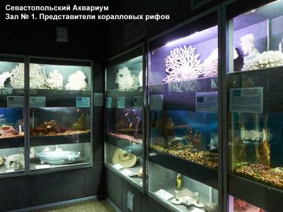 Фото обьекта Севастопольский аквариум №147332