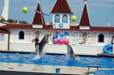 Фото обьекта Севастопольский дельфинарий №147336
