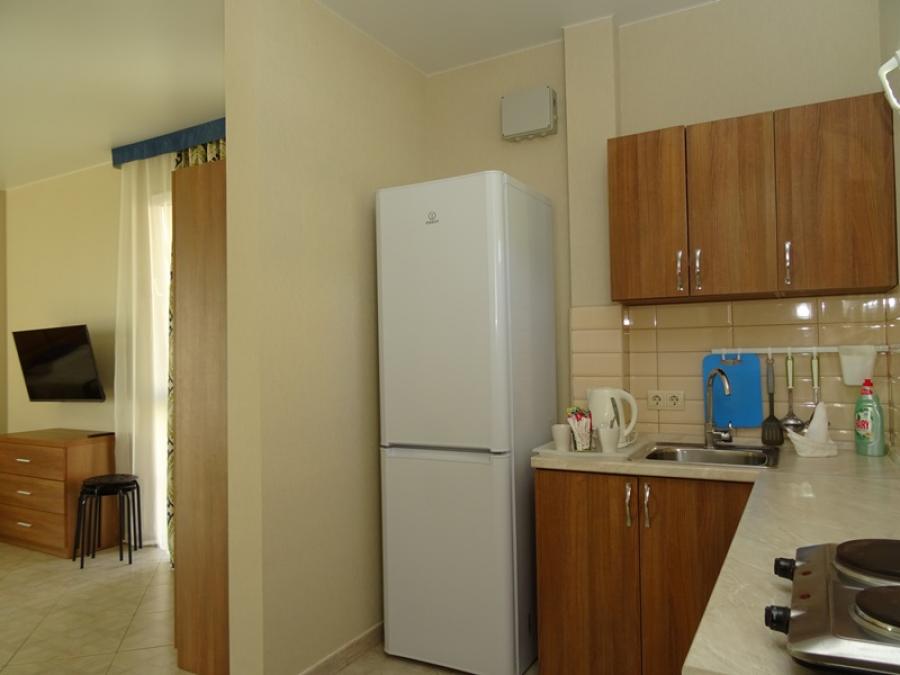 Номер «Люкс с кухней » гостевого дома «Villa Soho» - фото №126741