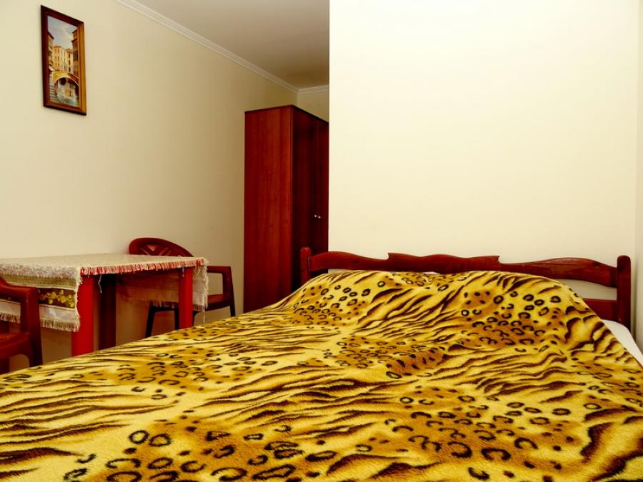Номер «Стандарт 1-комнатный» мини-гостиницы «Виктори» - фото №12696
