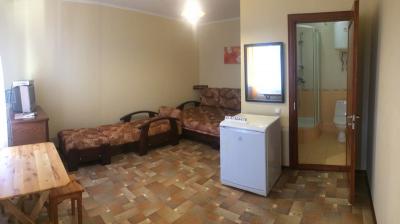 Мини-гостиница Оазис «1-комнатный»