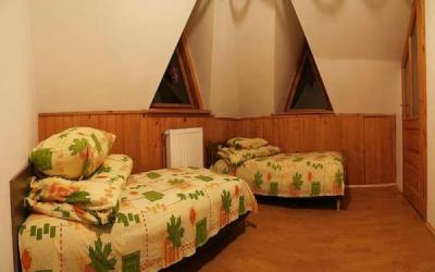 Гостиница Карпатский уют «Двухместный»