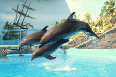 Фото обьекта Дельфинарий Театр морских животных №164453