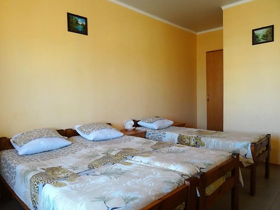 Номер «Стандарт  
          » мини-гостиницы «Аннушка» - фото №34781